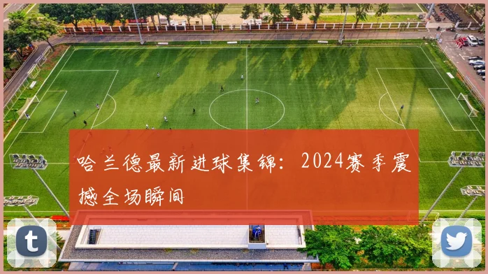 哈兰德最新进球集锦：2024赛季震撼全场瞬间
