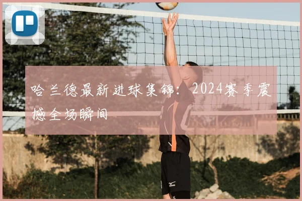 哈兰德最新进球集锦：2024赛季震撼全场瞬间